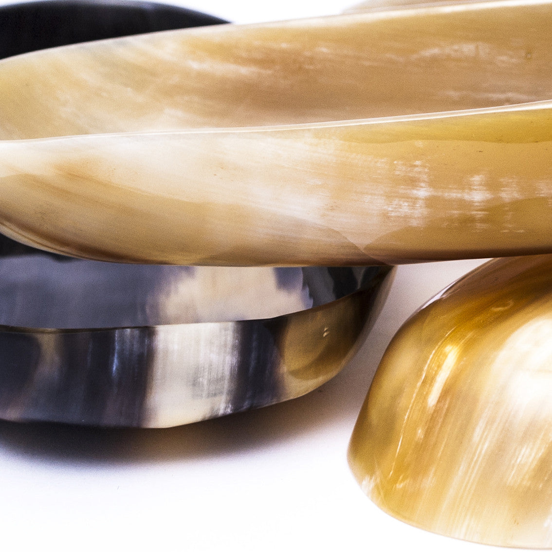 Hornschale Zebu Horn